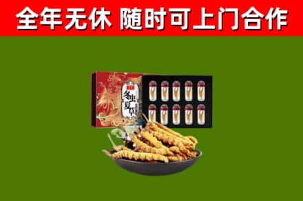 红古回收冬虫夏草价格